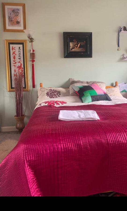 Cosy In Wembley Homestay