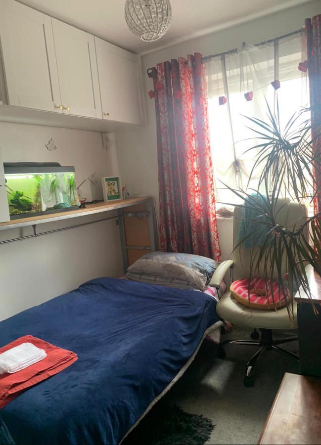 Cosy In Wembley Homestay *