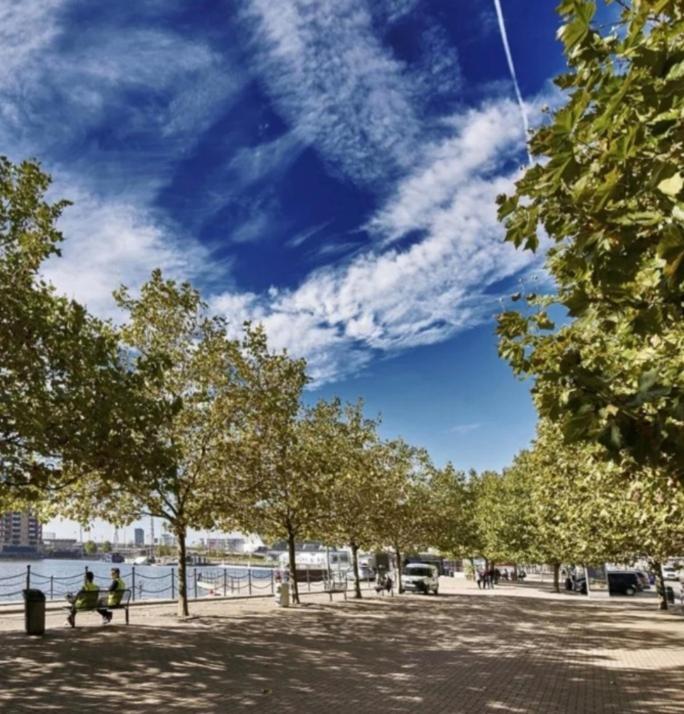 Lovely Waterfront Flat Canary Wharf Excel Centre * Londres