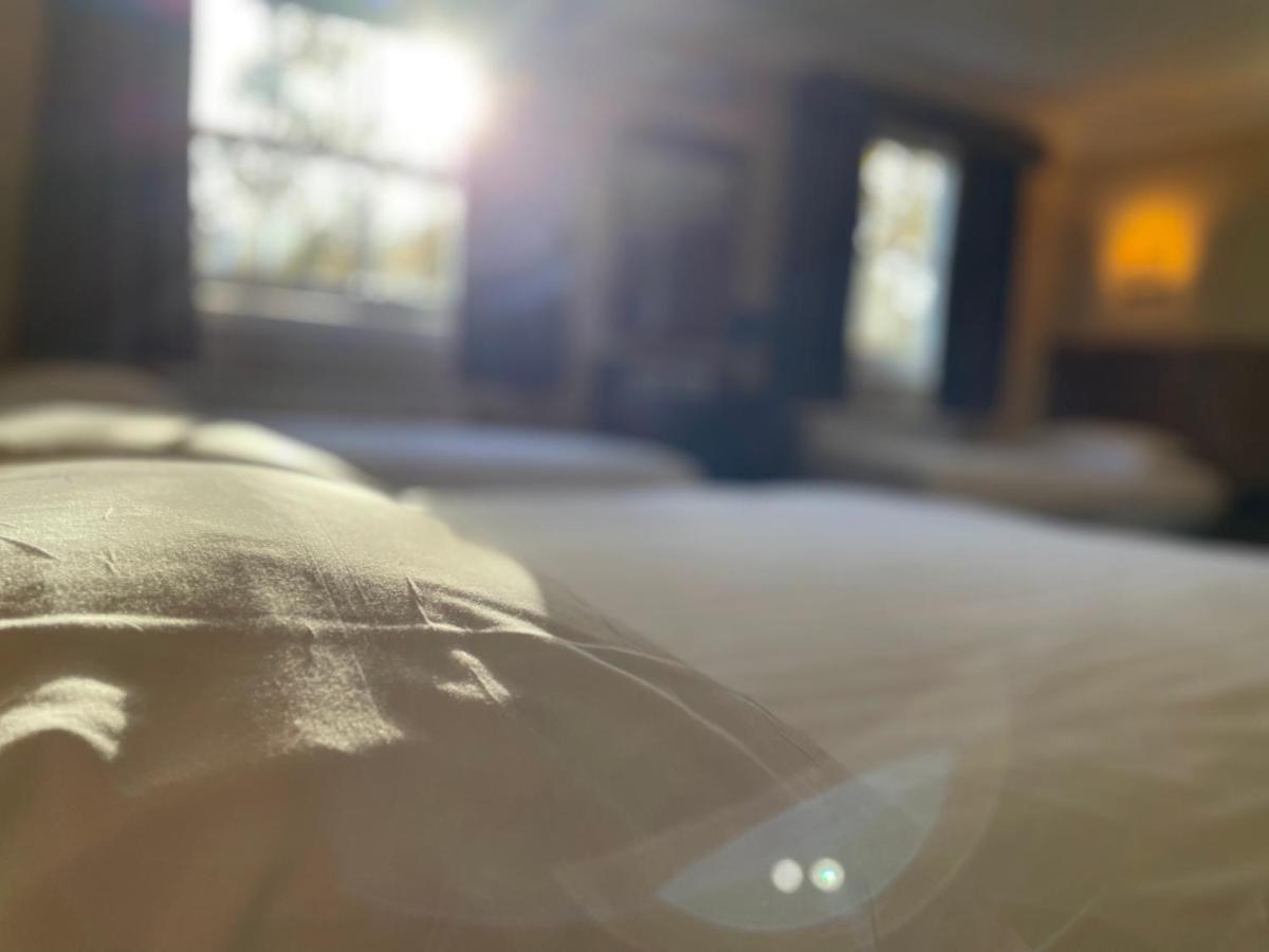 Hotel Orchard 3*