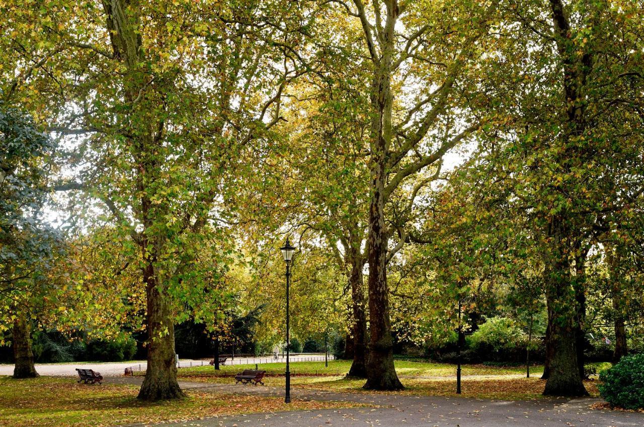 Leilighet Veeve - White Lights On Wendle Square London