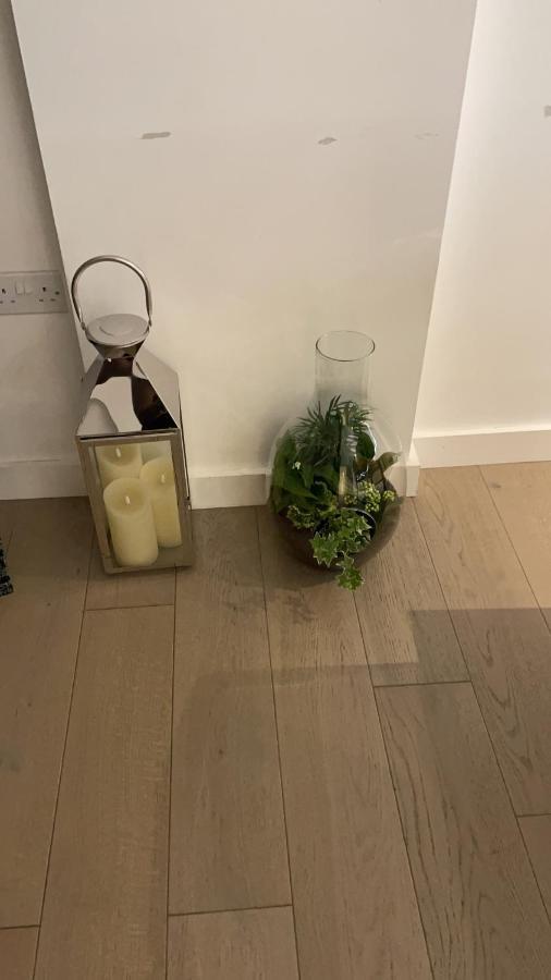 Vibrant & Cosy Near Wembley Leilighet London