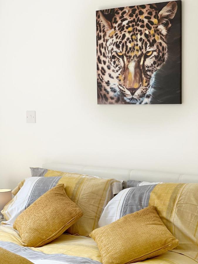 Lovely 1 Bedroom In South East Appartement