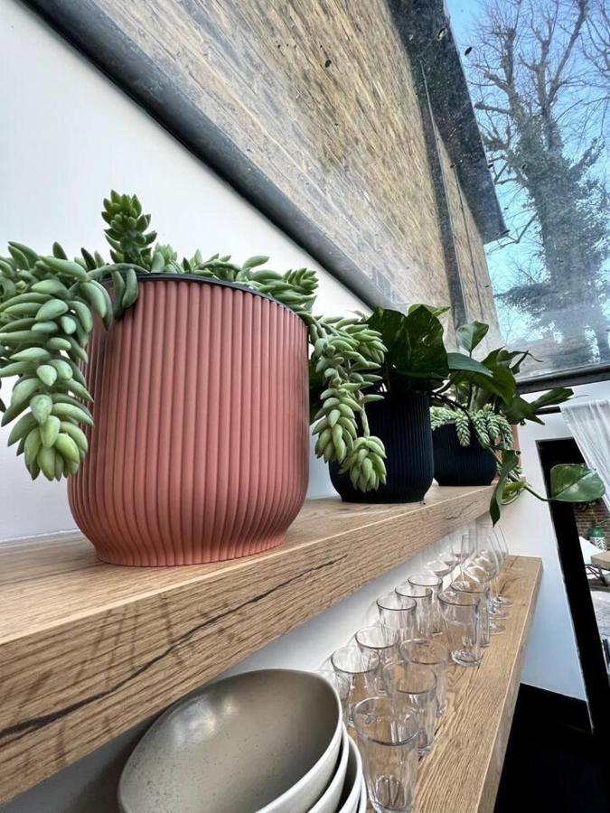 Design Led 1 Bed In Cosmopolitan Queens Park Apartment