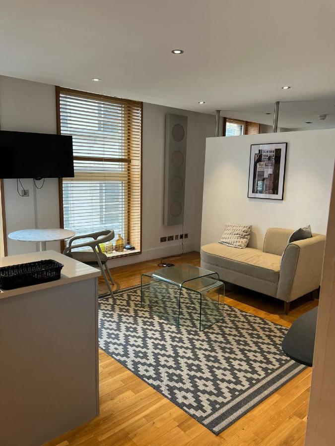 Piccadilly Circus Luxury Studio Appartement Londen