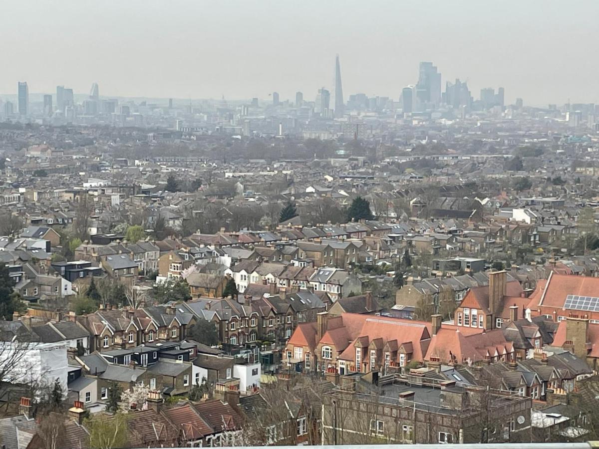 Dulwich Delight Panoramic View London