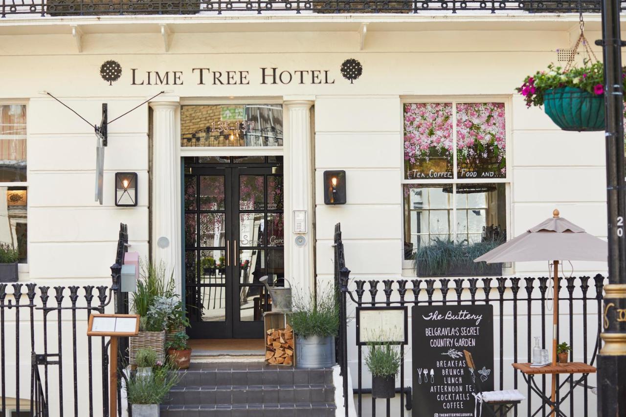 Lime Tree By Mate