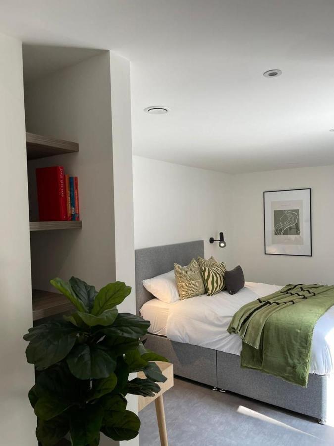 Brand New 3-bedroom In