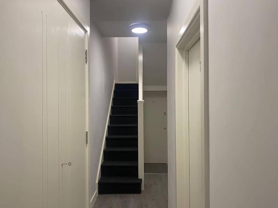 Leilighet Private Garden 1bed Studio Apart Battersea Perfect For Coupled Or Solo Travellers Pet Friendly Free Netflix & Wifi London
