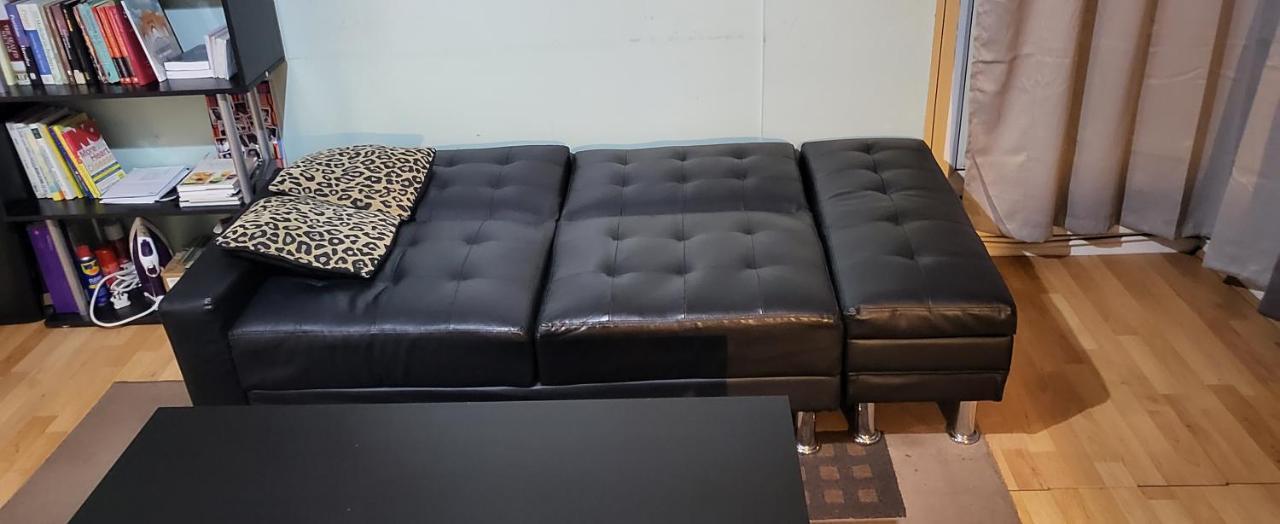 Double In A Cosy Flat In Tooting Privat overnatting