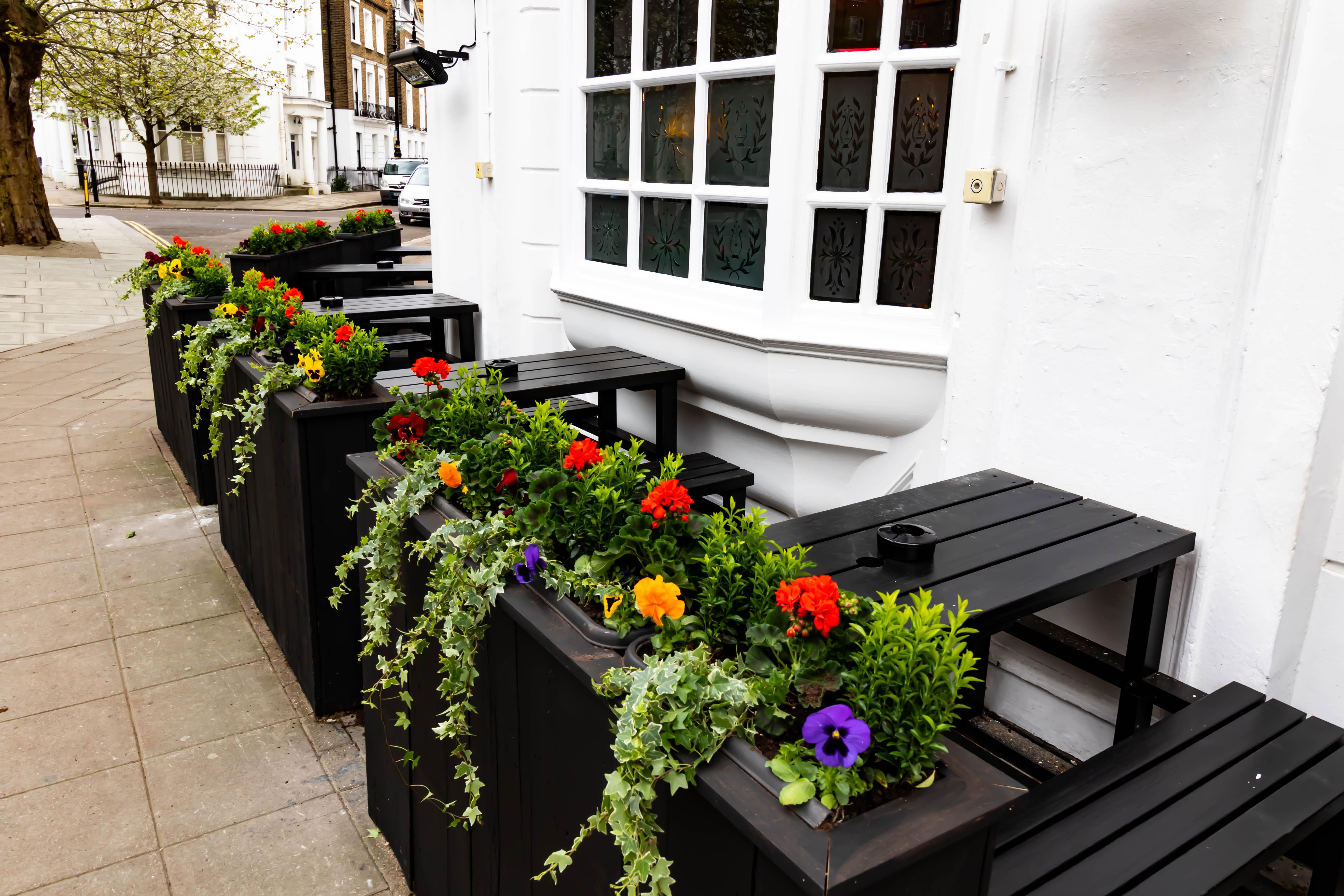 Publove @ The White Ferry, Victoria Hostal *
