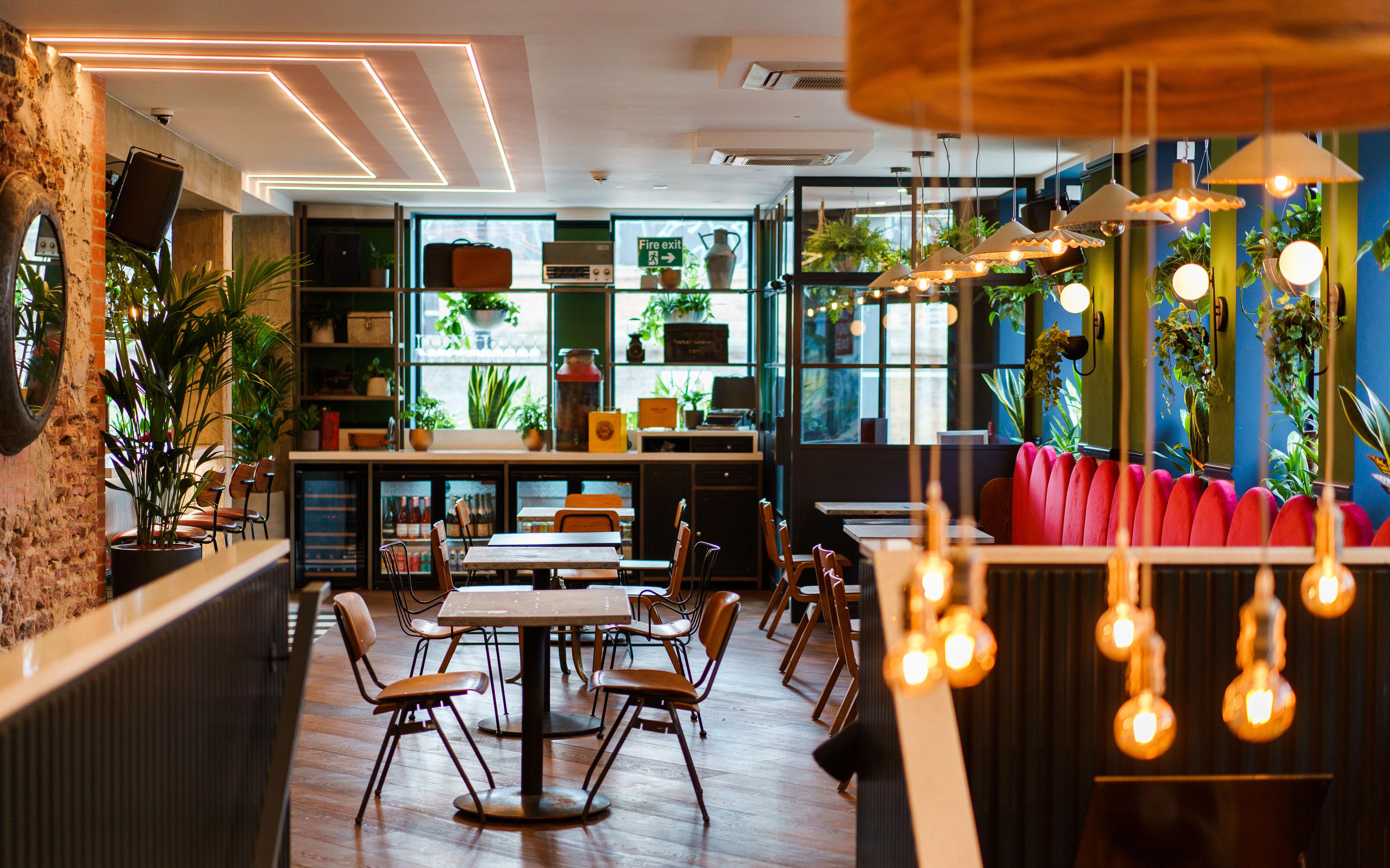 Selina Camden 3*