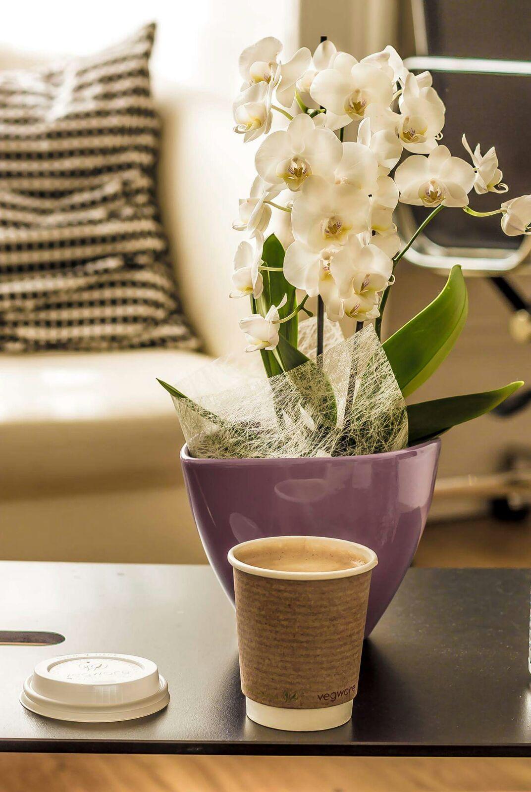 Belgravia Guest house 4*