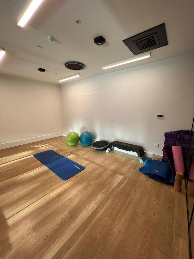 Apartment 1 Double Bed Apartament With Gym, Cinema And Pool Table In Front Of The Wembley Stadium