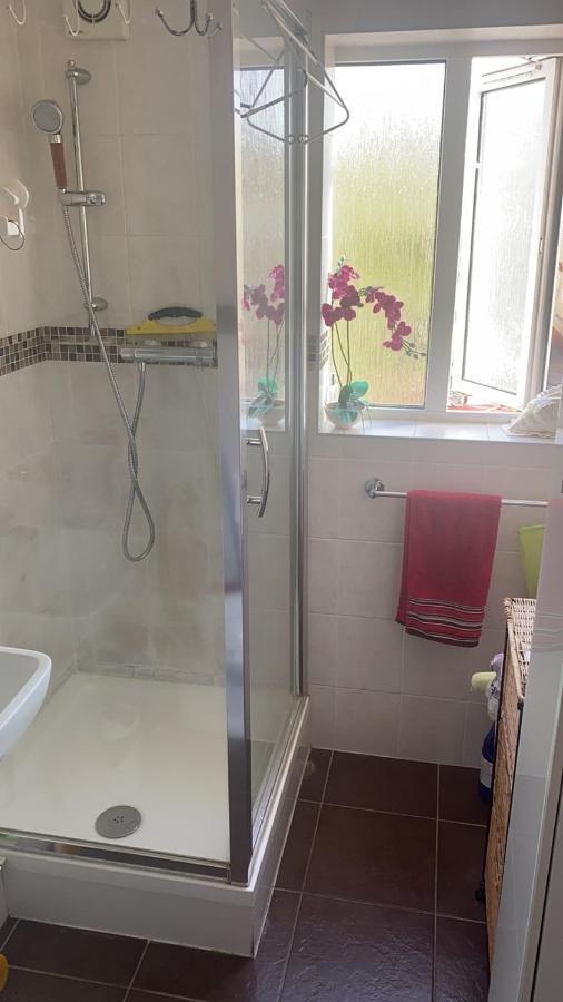 Accommodatie bij particulieren Will House *