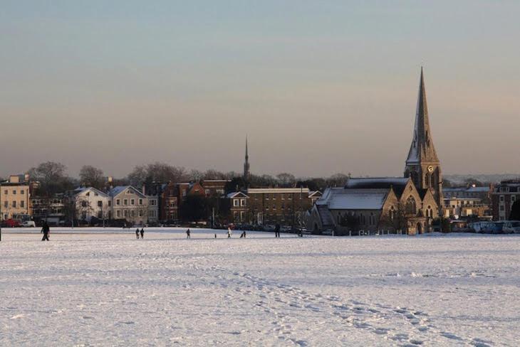 Elegant Parkside Flat: Blackheath Common Period Building Apartment London