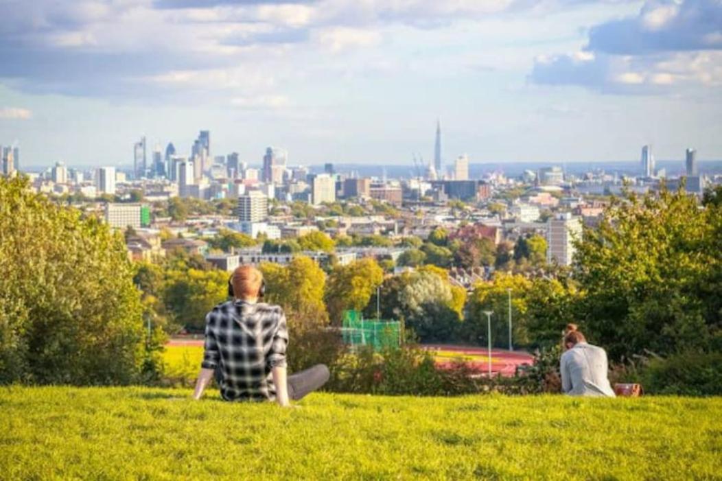 Cozy In Hampstead Heath * London