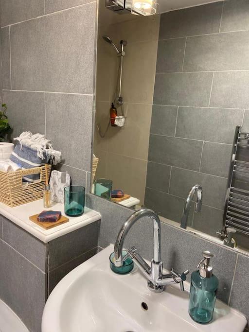 Apartment Ivy House-period Garden Flat Chelsea/fulham London