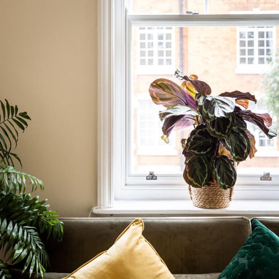 Apartamento One Bedroom In Marylebone *