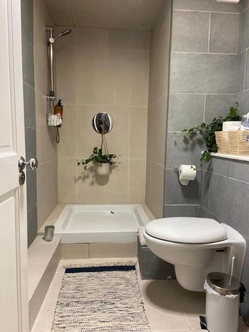 Ivy House-period Garden Flat Chelsea/fulham London
