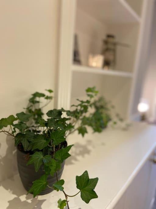 Ivy House-period Garden Flat Chelsea/fulham * London
