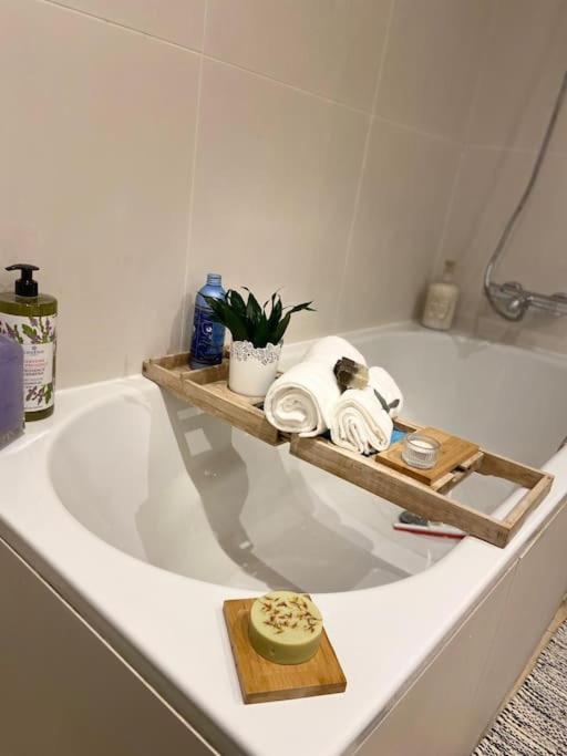 Leilighet Ivy House-period Garden Flat Chelsea/fulham London