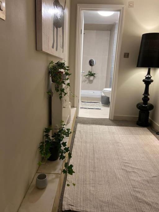 Leilighet Ivy House-period Garden Flat Chelsea/fulham