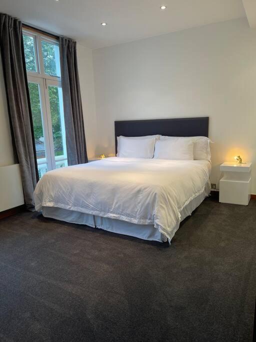 Designer 2 Bedroom Pimlico * Londen