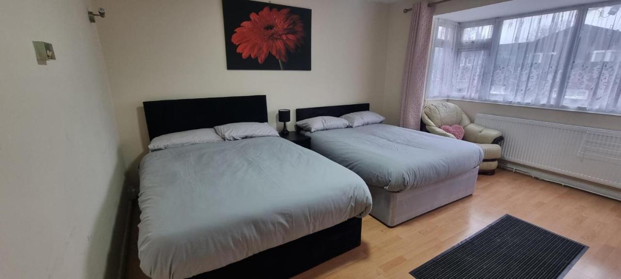 Guest house Star Homes