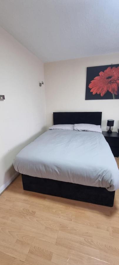 Star Homes Gjestgiverier