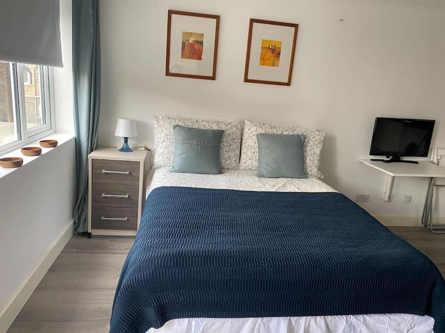 Studio In Seven Sisters Apartment London