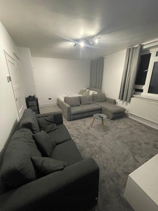 Lovely Spacious Studio Apartment, Separate Kitchen London