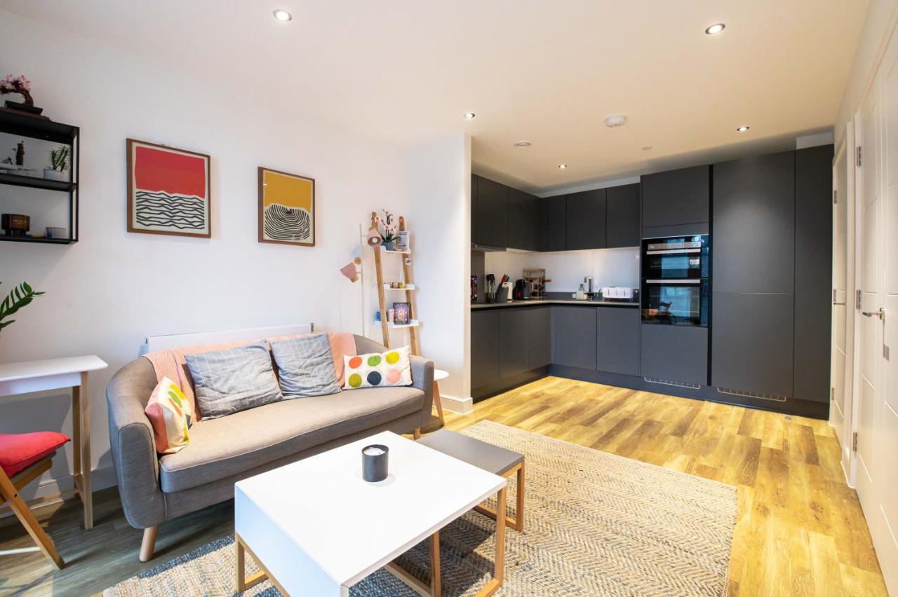 Modern, Light-filled In Trendy North *