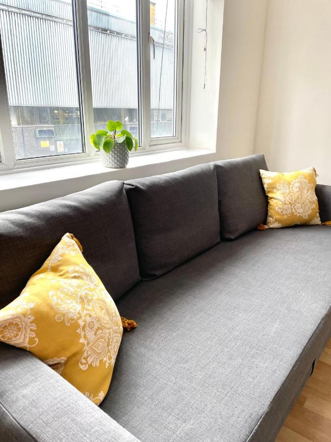 Appartement 2 Bedroom Near Euston, King's Cross