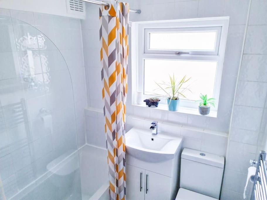 The Navarone Blue Orchid Flat Apartment London