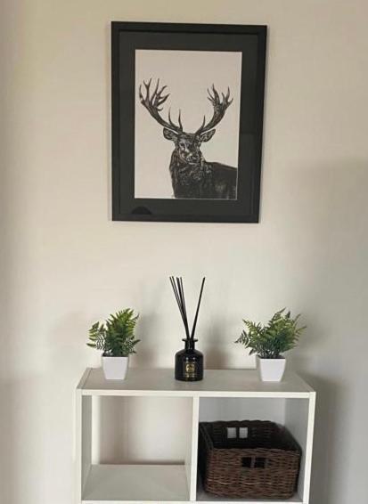 Apartment Stunning Double Bed Flat With Private Balcony & Free Parking