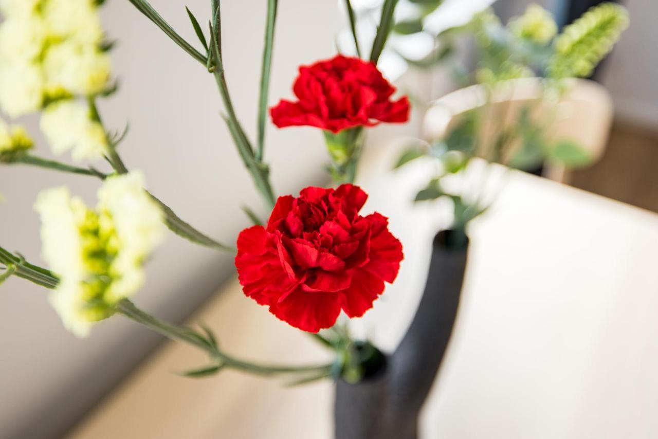 Mornington Crescent Appartement Londen