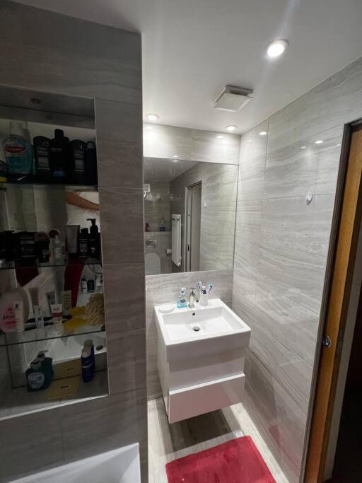 Apartment Stylish One Bedroom Flat Furnished