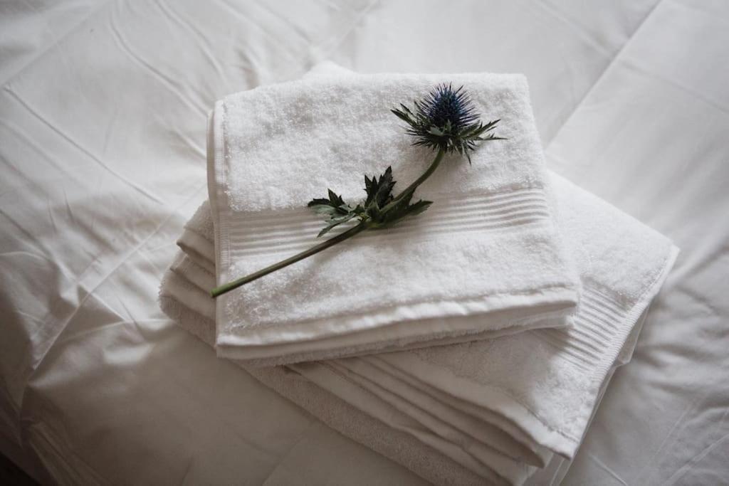 Apartamento •mangohauslondon• •airconditioned•garden•fire Pit• Londres