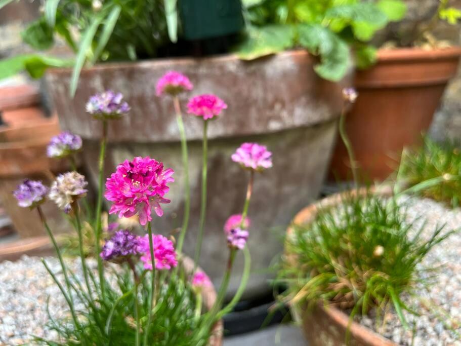 Kings Cross, Self-contained House & Private Garden Holiday home London