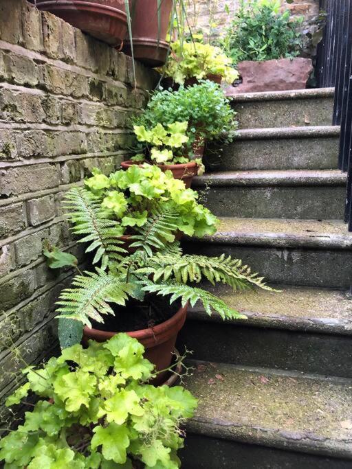 Kings Cross, Self-contained House & Private Garden *