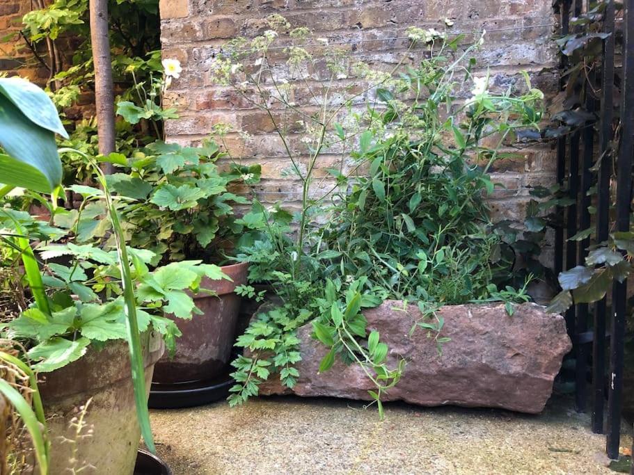 Holiday home Kings Cross, Self-contained House & Private Garden London