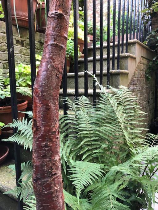 Kings Cross, Self-contained House & Private Garden London