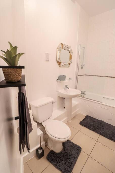 Camber Hill - Long Offer London