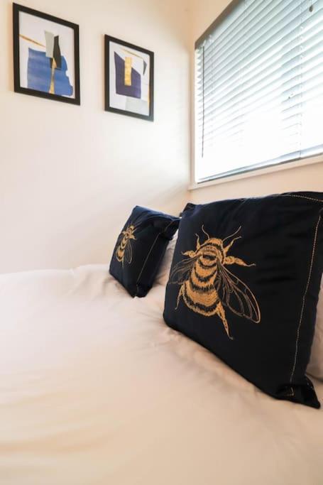 Apartment Camber Hill - Long Offer