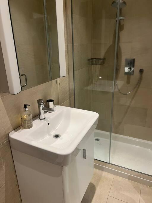 Four Bedroom Modern Victorian Wandsworth House