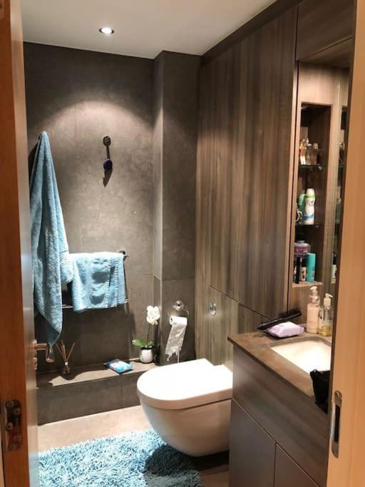 Newly Furbished Chelsea Flat Next To Thames * London