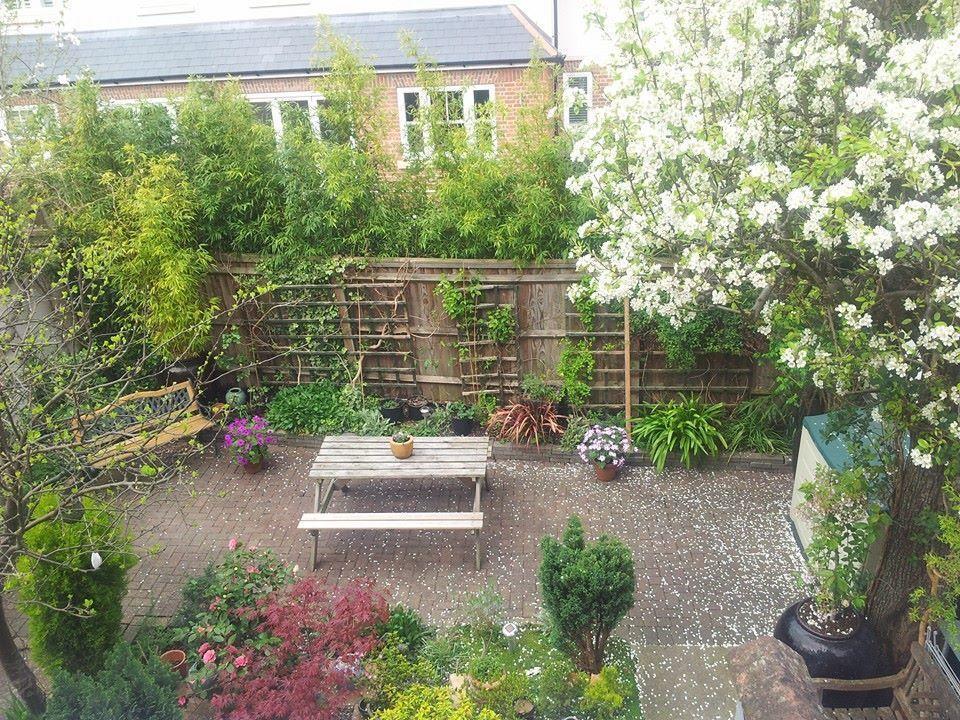 Guest house Compton 3*
