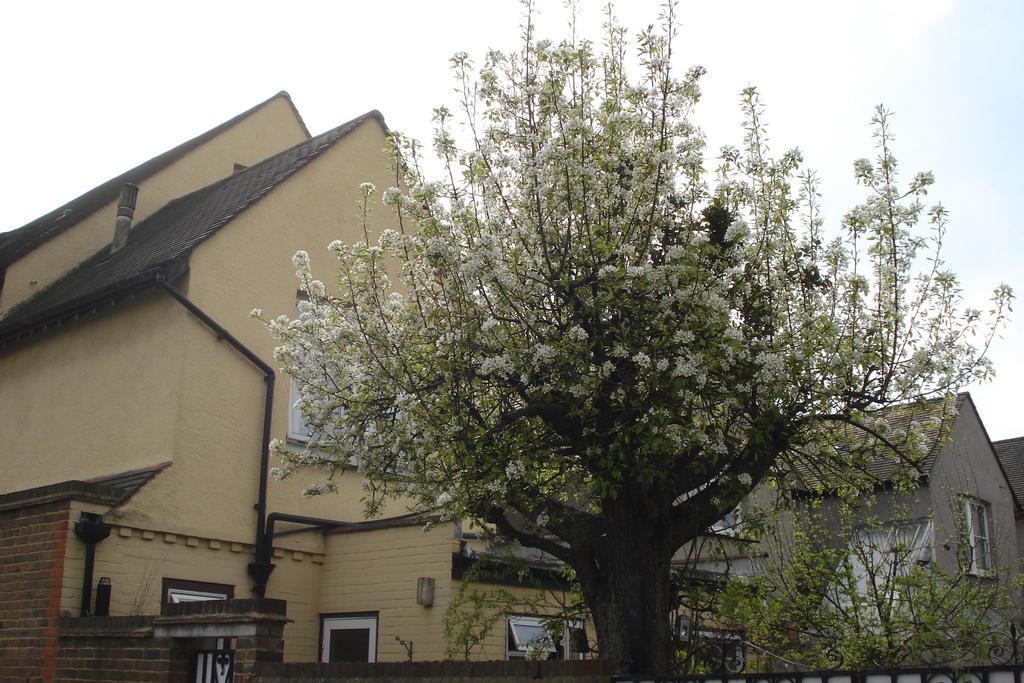 Compton Guest house 3*