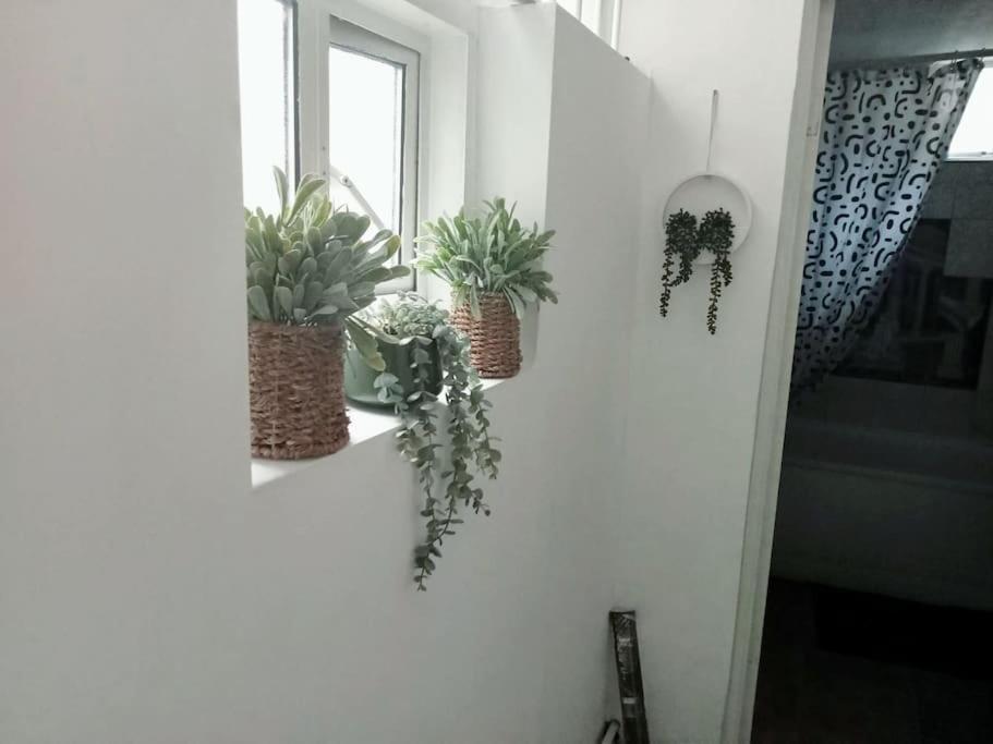 Cosy Flat In Whitechapel, Leilighet London